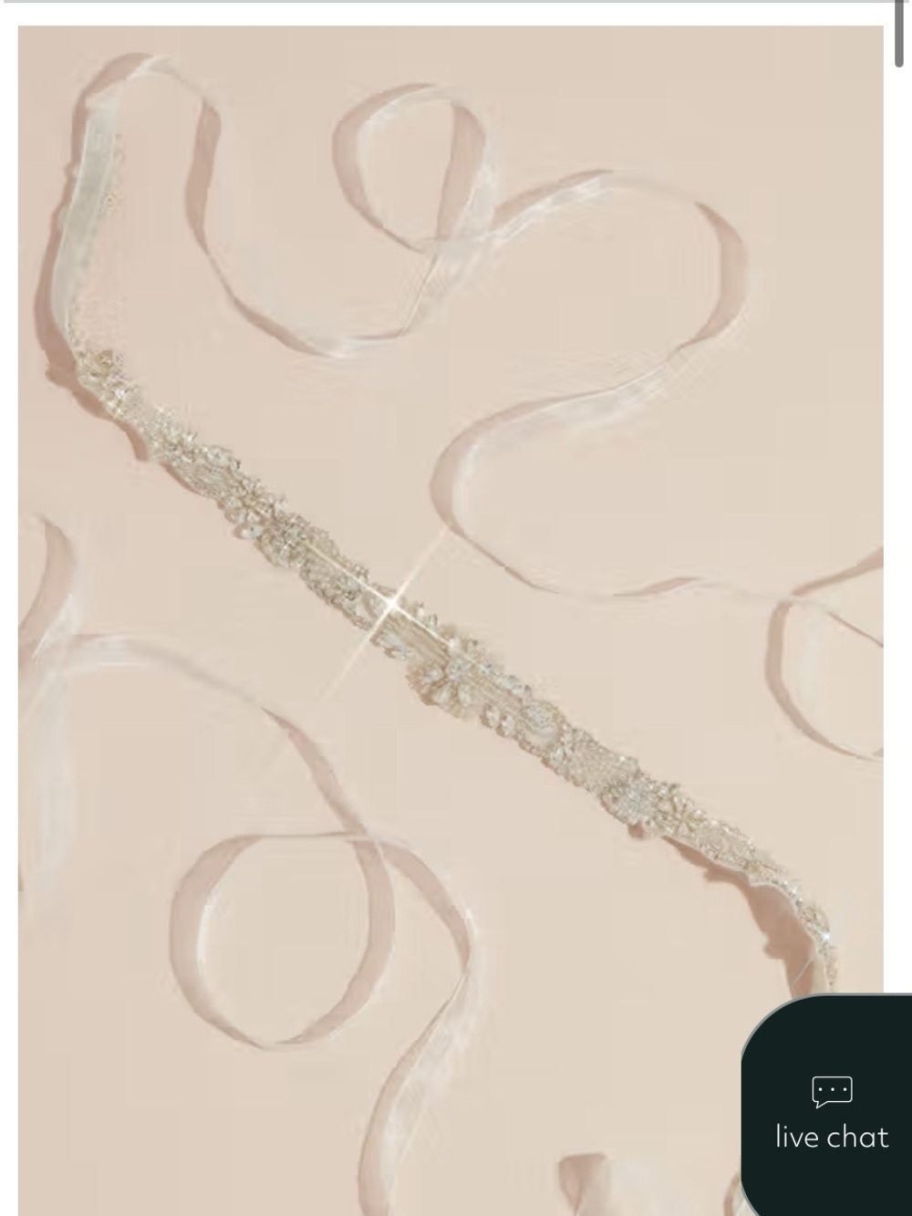 David’s Bridal Crystal Ribbon Belt - Silver